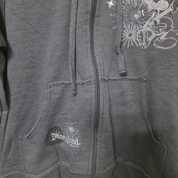 Gray Zip-Up Hoodie with Embroidered Design - DISNEYLAND - Picture 2 of 5